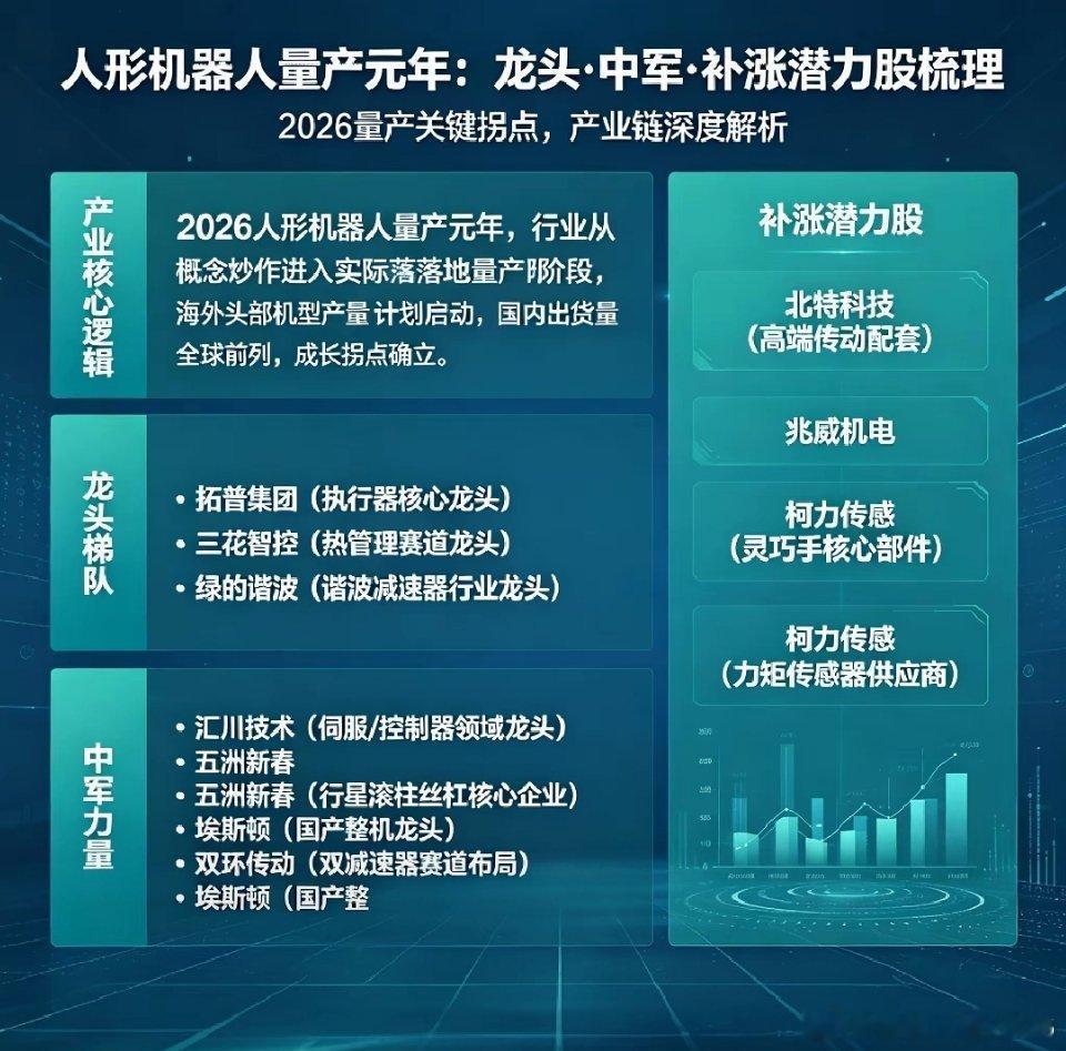 只做龙头，拒绝杂毛。人形机器人：龙头+中军+补涨梯队（2026最新）总龙头（板
