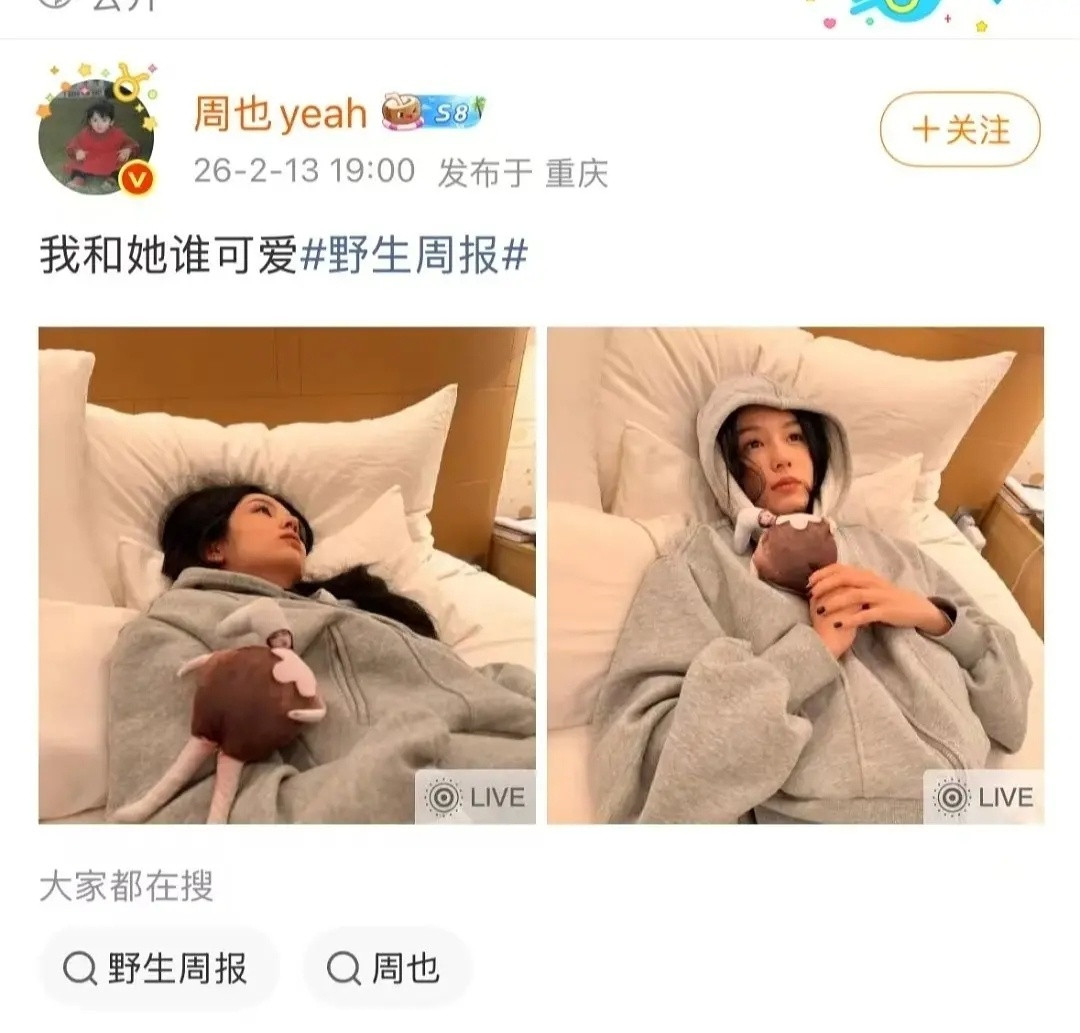 周也又在玩什么抖机灵？看不明白