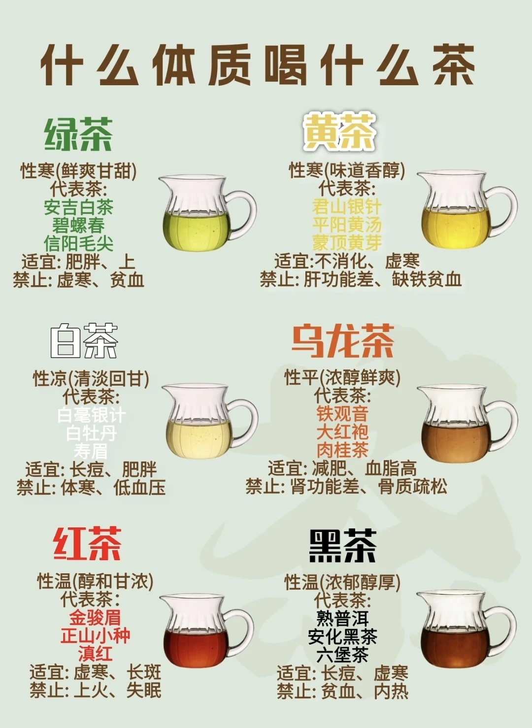 什么体质喝什么茶，看这篇就够了！