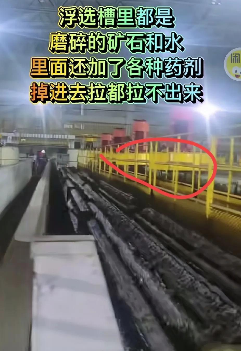 很多人可能好奇浮选槽长什么样，为什么掉进去大概率就活不了？首先这里边全是泥浆，