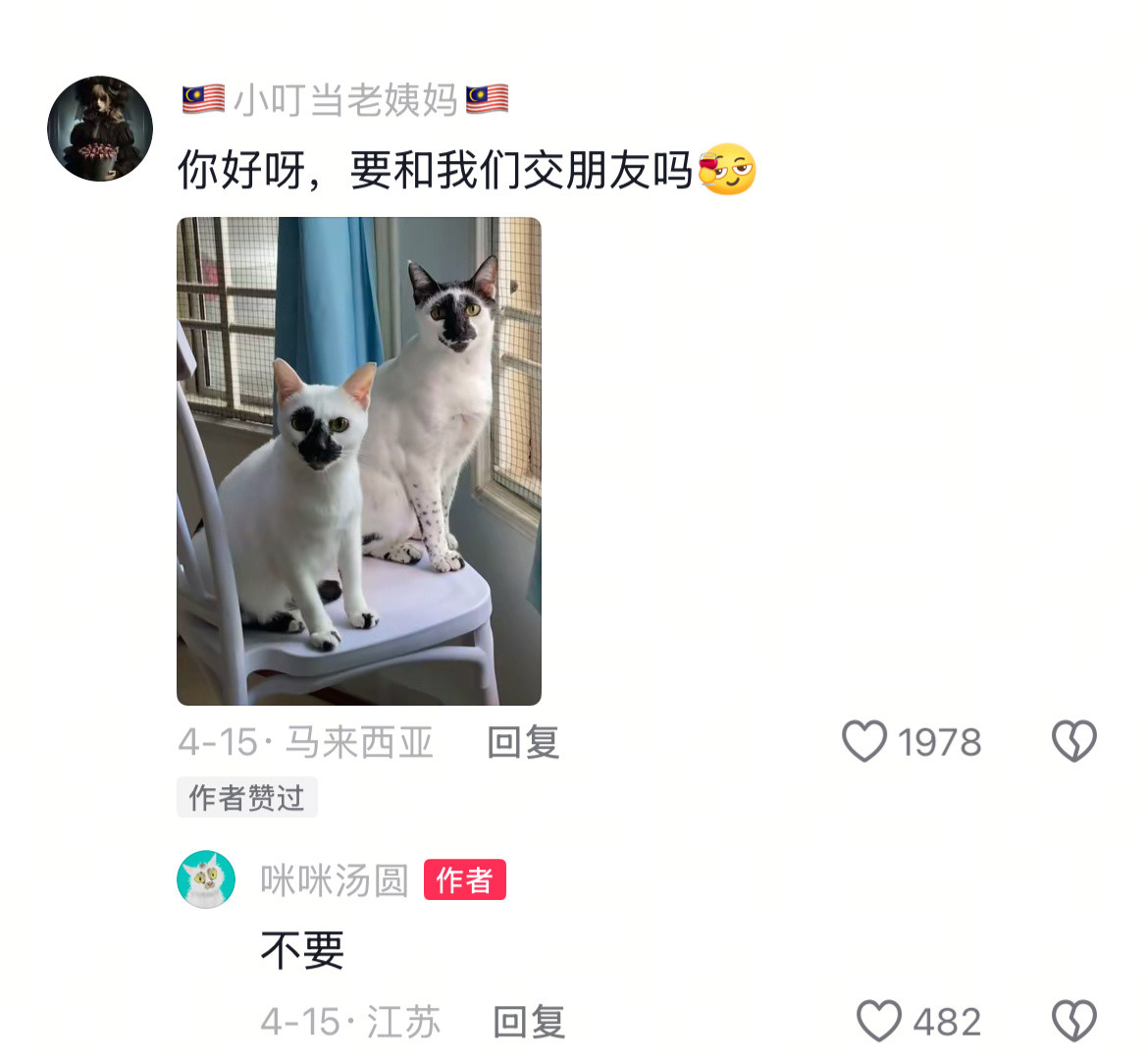 那些长相抽象的猫咪，简直不忍直视哈哈哈。动物奇遇记
