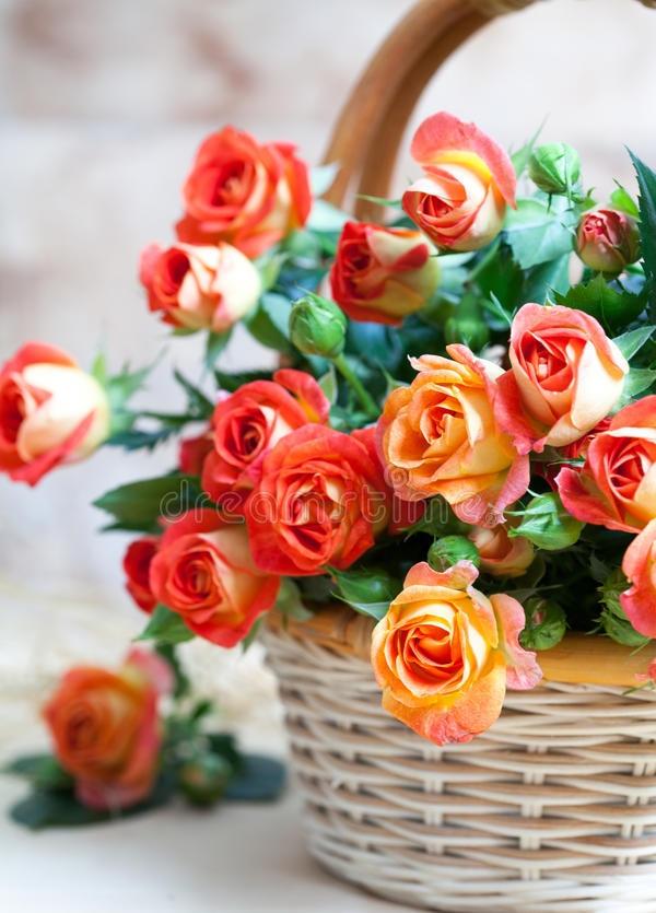 中国百家姓中，排名前八的姓氏：第八名：“赵”，2870万人第七名：“黄”，