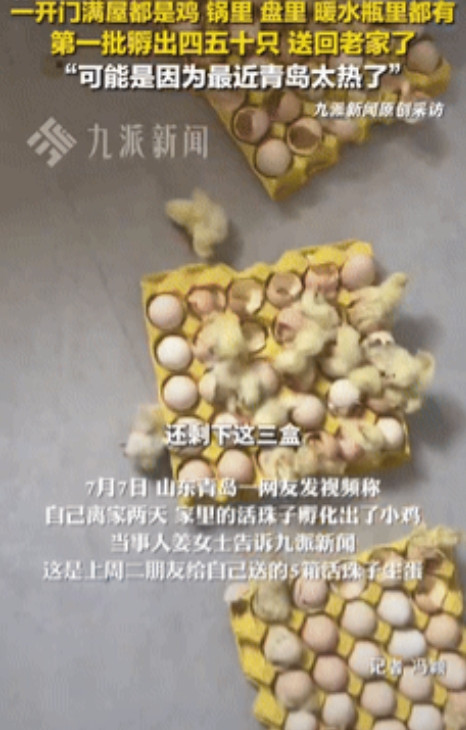 意外的惊喜！”山东青岛，一女子因天气炎热离家2天，回家打开门后，全家都愣住了，屋
