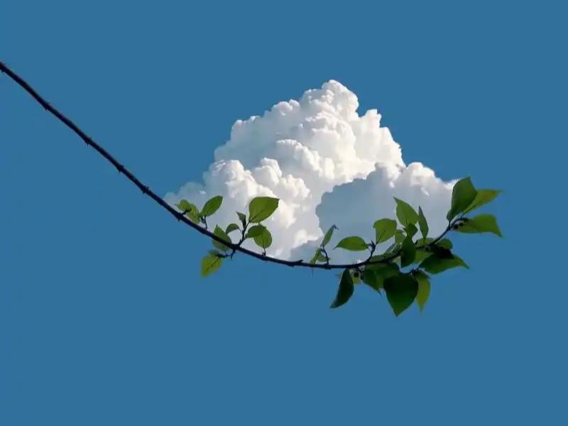 有人说：“香港有钱人，都喜欢娶运动员当老婆，这些人太聪明了！为什么他们不娶明星当