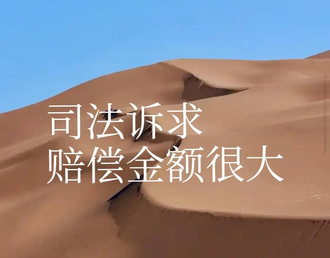 姗姗在直播里说自己快成为被告了，说云朵这一方已经起诉了她，并且明确说了王子汝成也