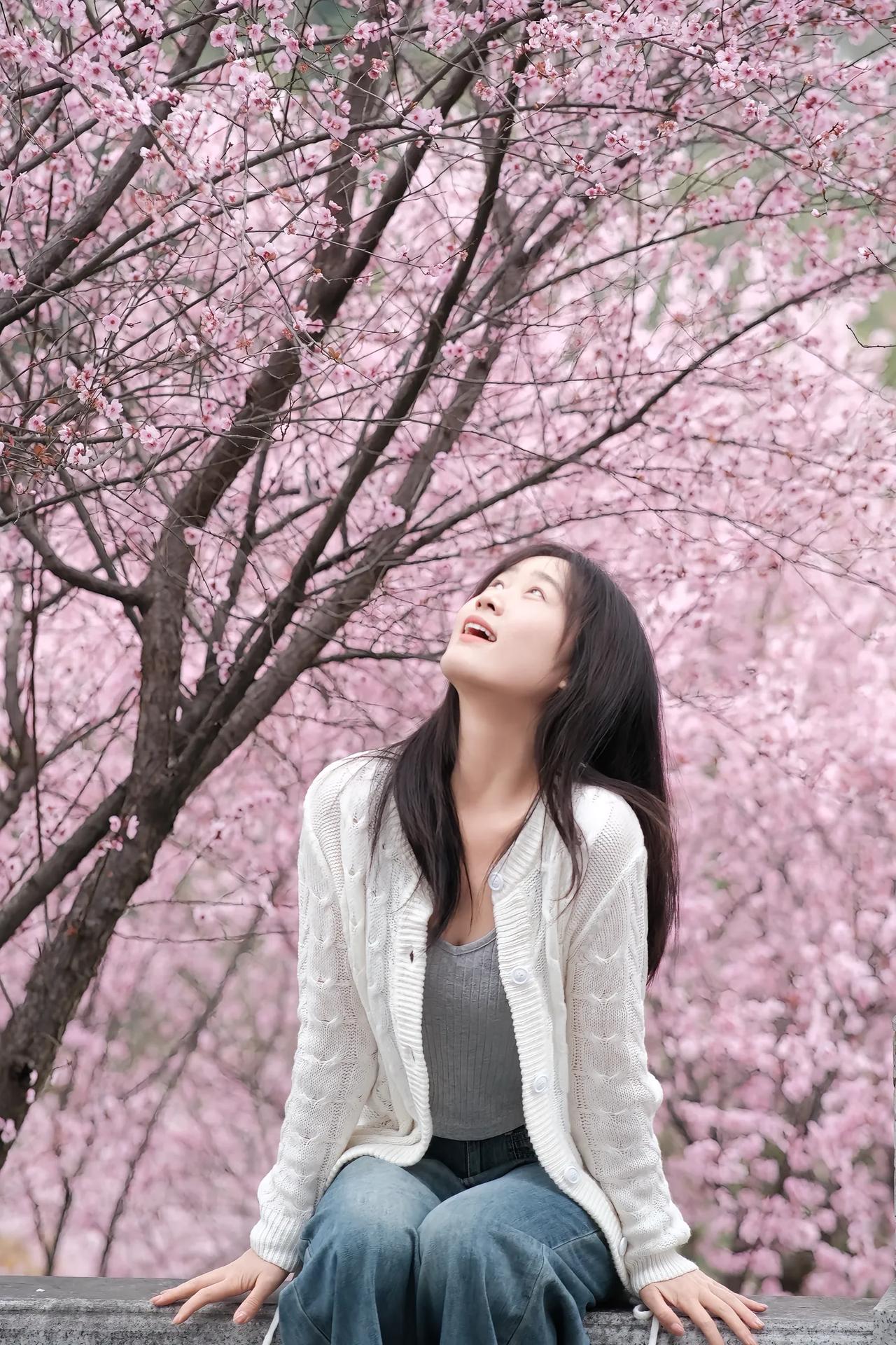 樱花树下人如玉，笑语盈盈暗香来。