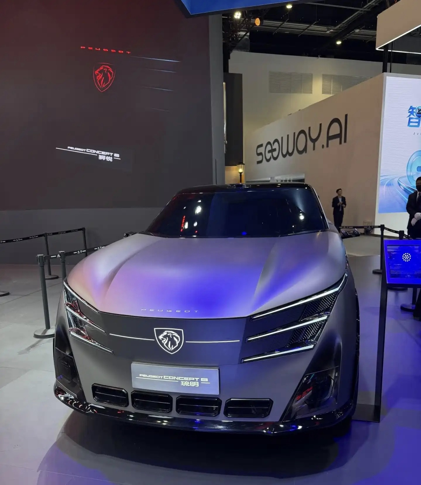 标致和雪铁龙四年没参加北京车展了，这次来，搞了几个概念车，我只能理解为法系车的设