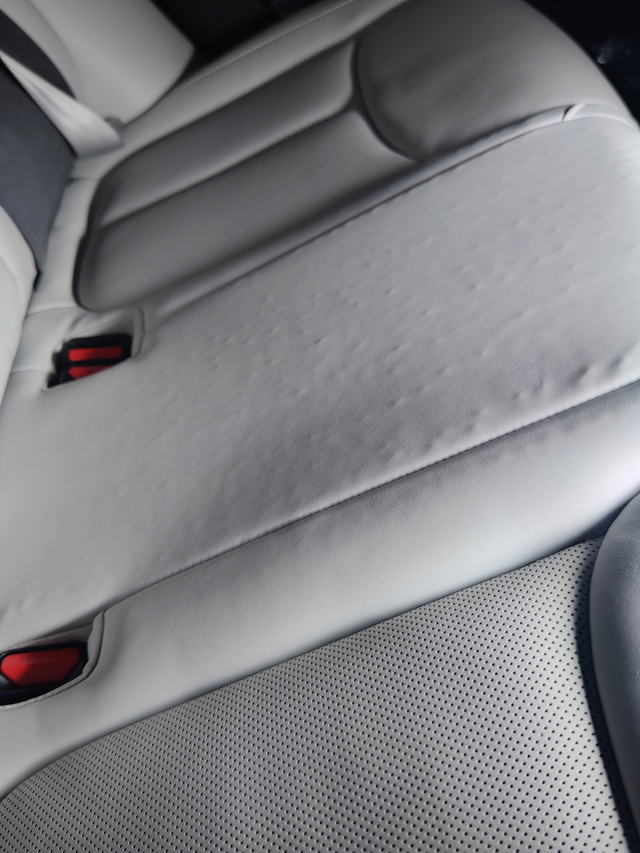 这也太恶心了今天突然发现车子后排座椅中间用手机闪光灯侧着打光，有这个像青春痘一