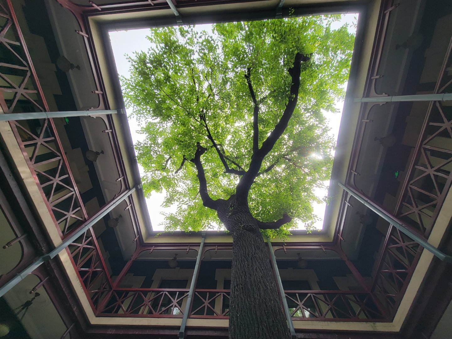 青砖宫阙锁前尘，“龙椅”空置傀儡身。末帝溥仪困此十三春，沦为时代飘萍。雕梁背后尽