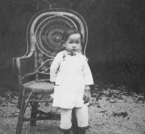 1907年，林徽因母亲何雪媛对公婆说:“我生了儿子，要请奶妈。”公婆说不行。何雪