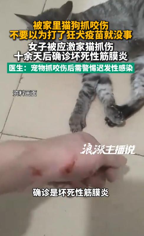 太吓人了！陕西西安，一女子被家猫抓出血，打完疫苗、伤口结痂后本以为平安无事。谁知