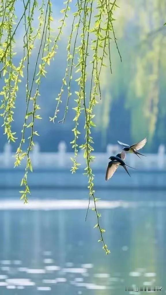 2026年双火年，这四种星座女最容易变富婆！结合丙午马年运势，梳理出四大“富