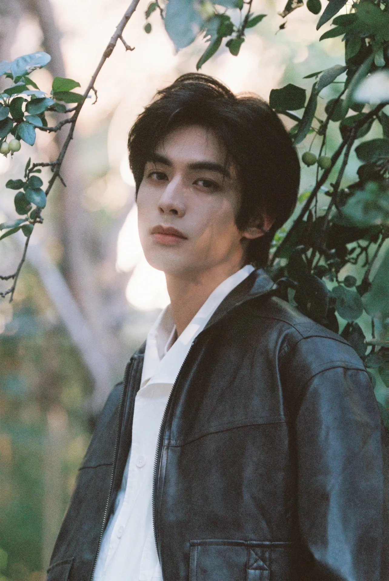 宋威龙这一组也发一下所有胶片都神得不行，胶片请再拍