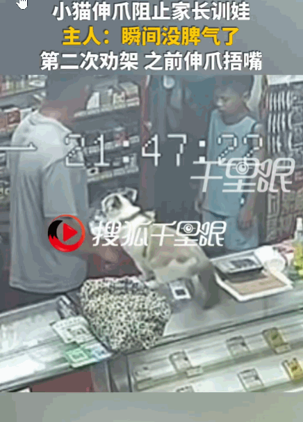 万物皆有灵！河南许昌，儿子不小心打翻牛奶，男子火气“噌”一下就上来了，刚抬手要教