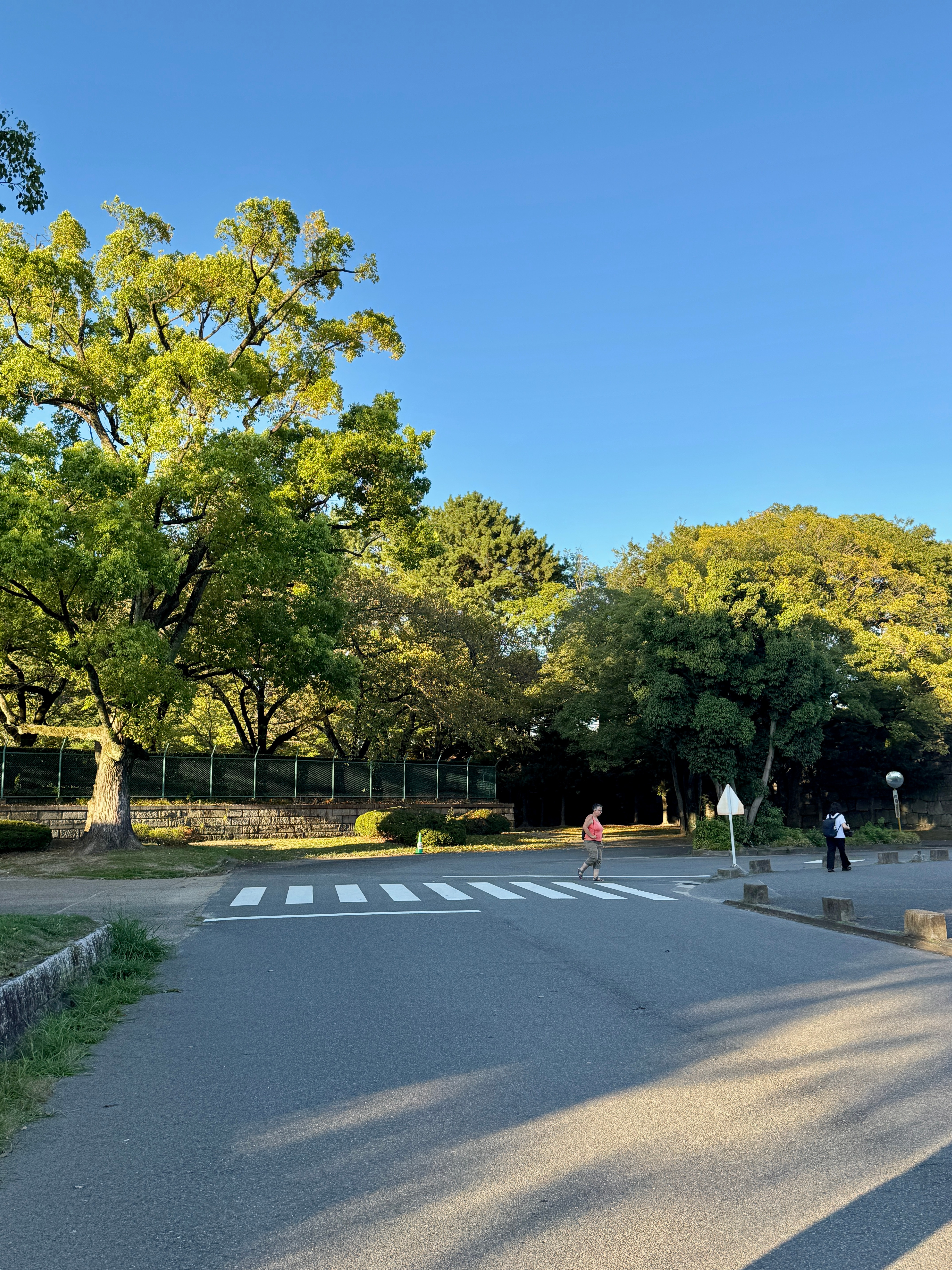 名古屋的周末轻松安逸喜欢⚡​​​