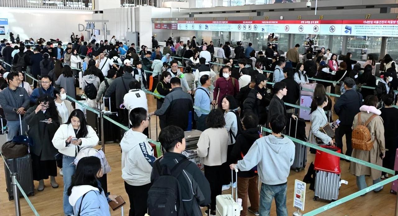 11月24日，日本机场里挤满了排队回国的中国人，密密麻麻，里三层外三层。与此同时
