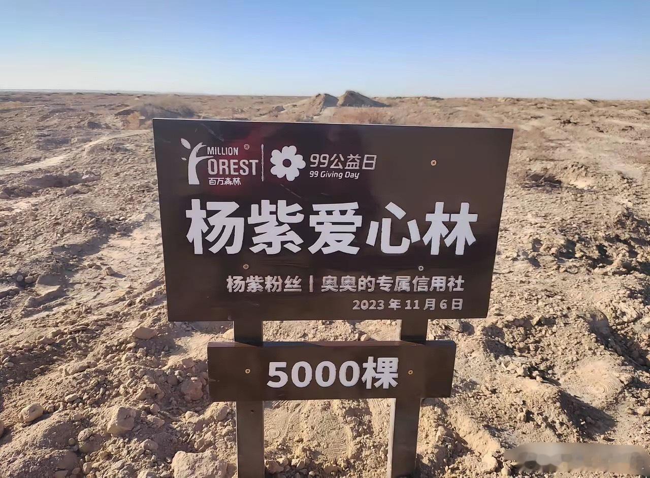 杨紫这波操作，真的有点东西广西发大水，人家不声不响通过“明天爱心基金”捐了款，还