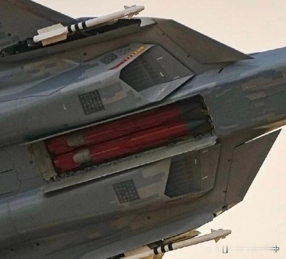 苏57侧弹舱确实烧裆！苏57当年比歼20早首飞时，不少人曾有过期待，可随着