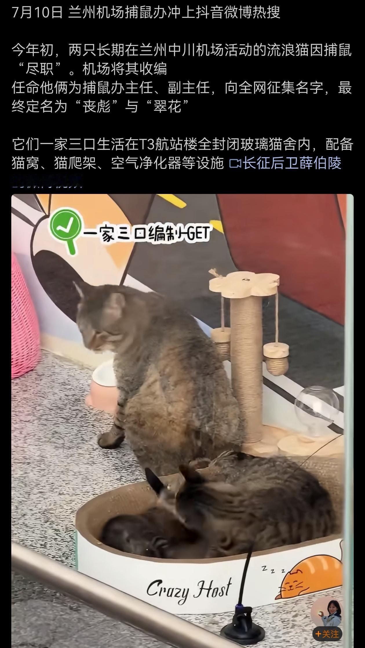捕鼠办，主任、副主任、捕员。[呲牙笑][呲牙笑]