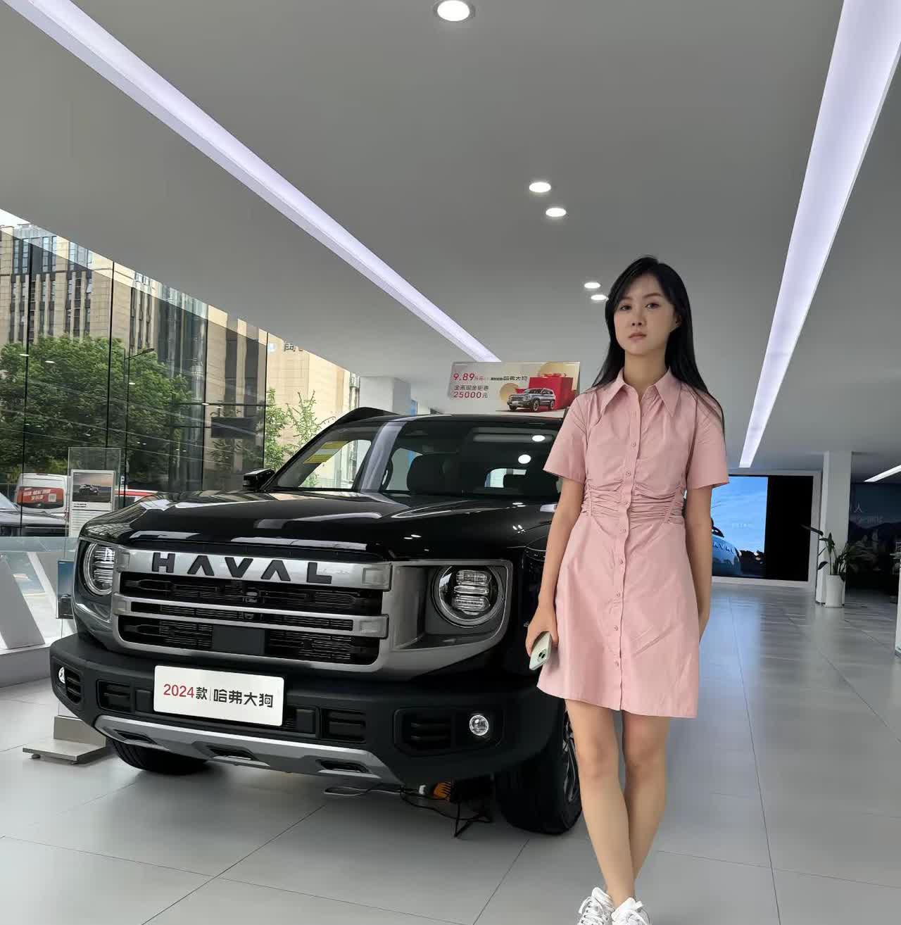长城的代表作，哈弗大狗。这样的车，十年才能出一款。名字虽然叫大狗，但是它却有着