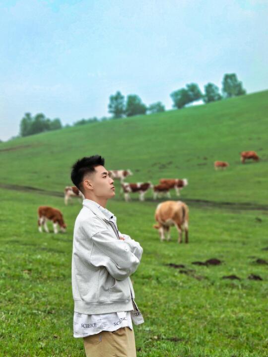 乌兰布统草原 | “风吹草低见牛羊”的地方