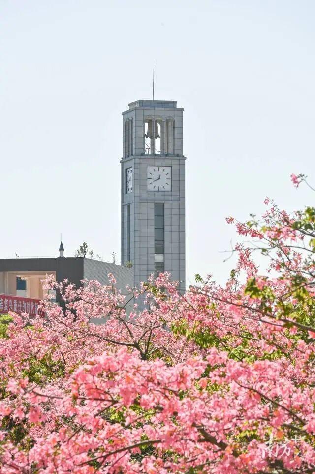 重磅！广财停招12个本科专业！6月18日，广东财经大学公布最新招生计划及专业目录