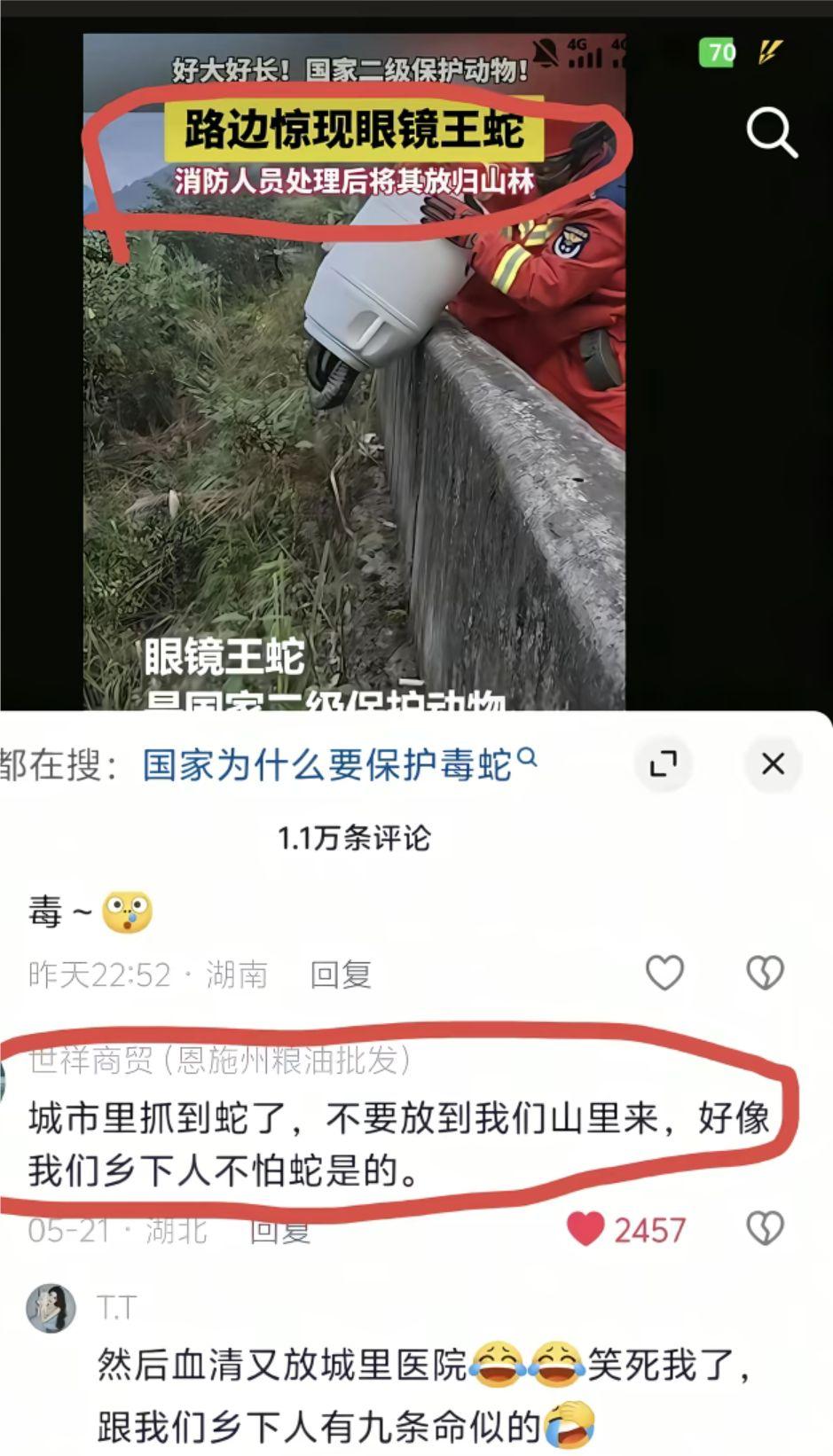 高手都在评论区