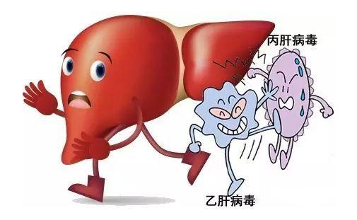 丙肝病毒与乙肝病毒有什么不一样?