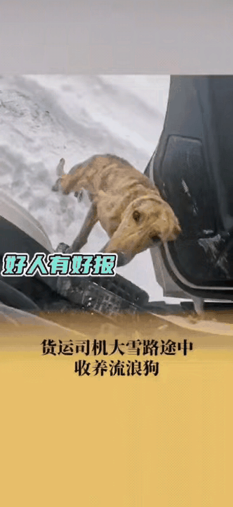 徐先生是个大货车司机，近日，在当天气温零下20°的锡林郭勒，他停车准备开门取