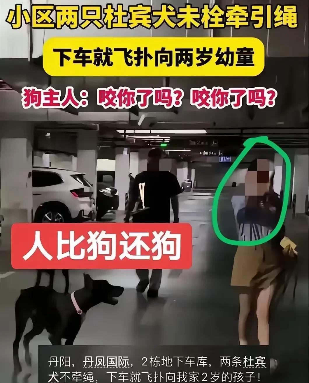 为什么女人不能养大型犬？
