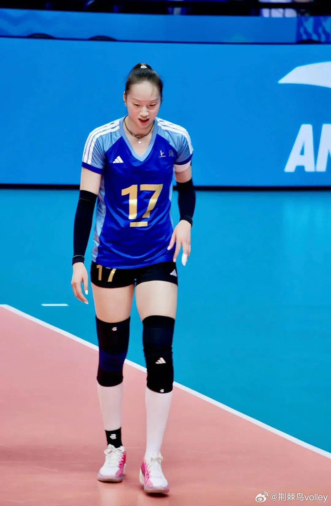 【仲慧在上海女排的履历】上海女排时隔25年再夺冠仲慧在上海女排总共效力了9个赛