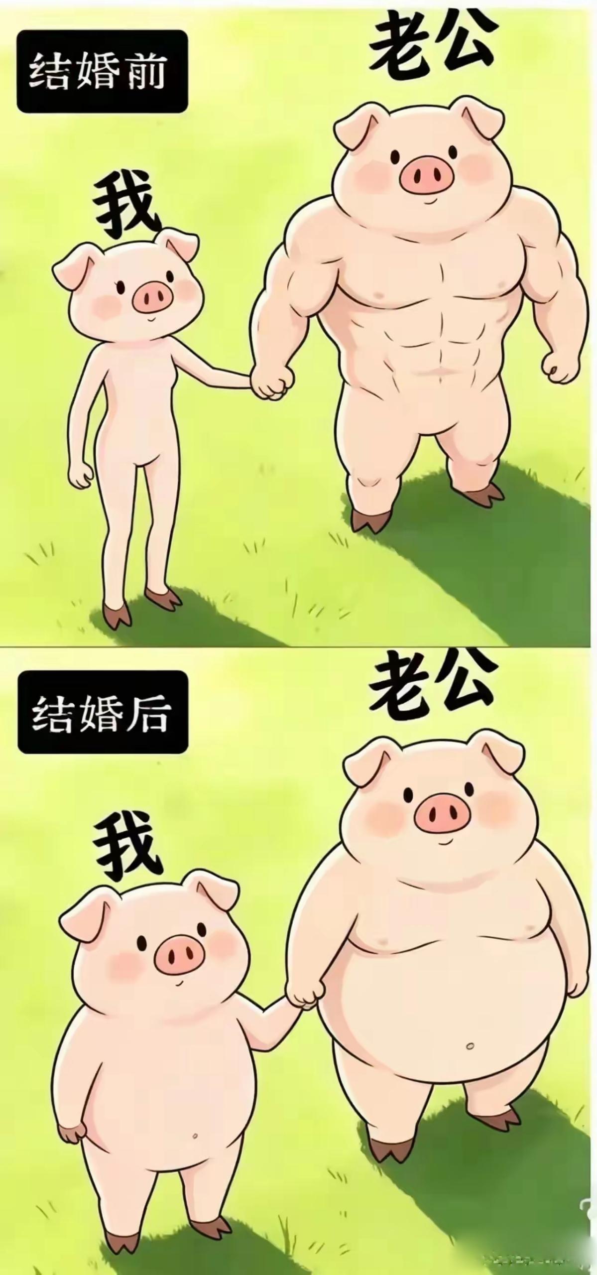 可能是两个人都不会做饭，于是在婚后就天天在外面吃饭。餐馆里面的菜油水多，容易长胖