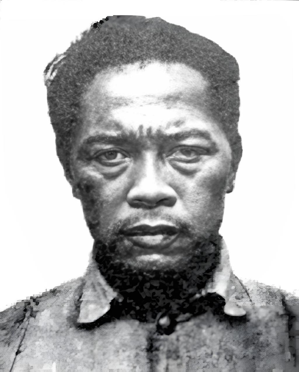 国军中将李本一是抗日名将，他于1949年被俘后，本着优待俘虏的政策，林总提出让他