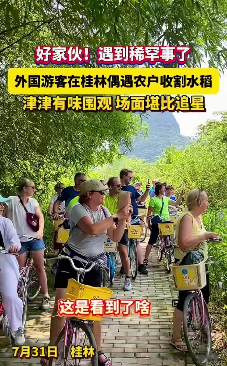 因为国外的农场主只有那么多，大部分人应该也没现场见过收割稻谷！