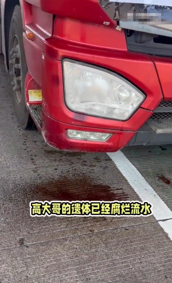 “看哭了！”安徽卡车司机在车内死亡3天才被发现，妻子花大价钱求人把卡车从高速服务