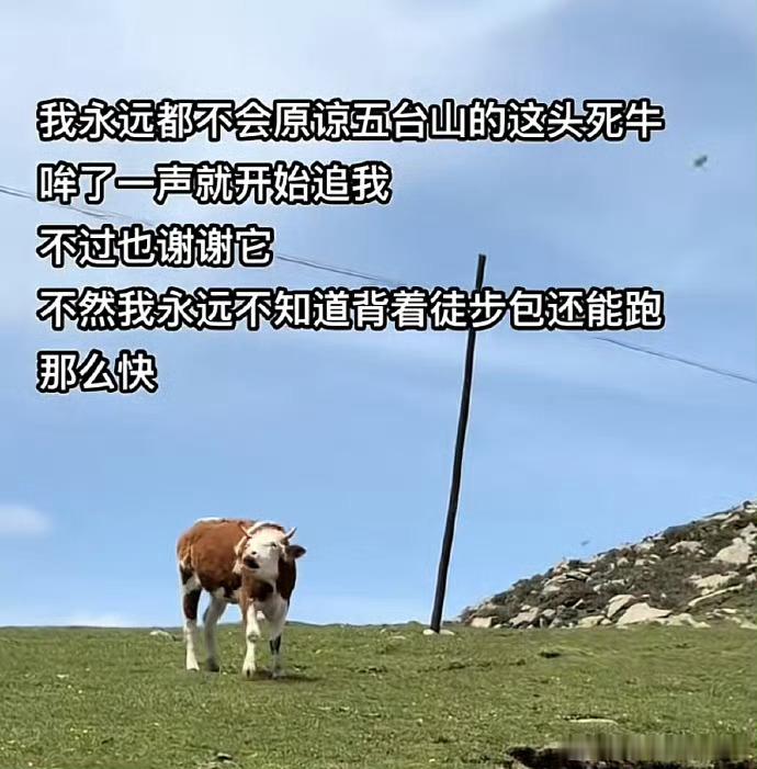 在窝囊和生气中选择了生窝囊气[doge]下班一乐​​​