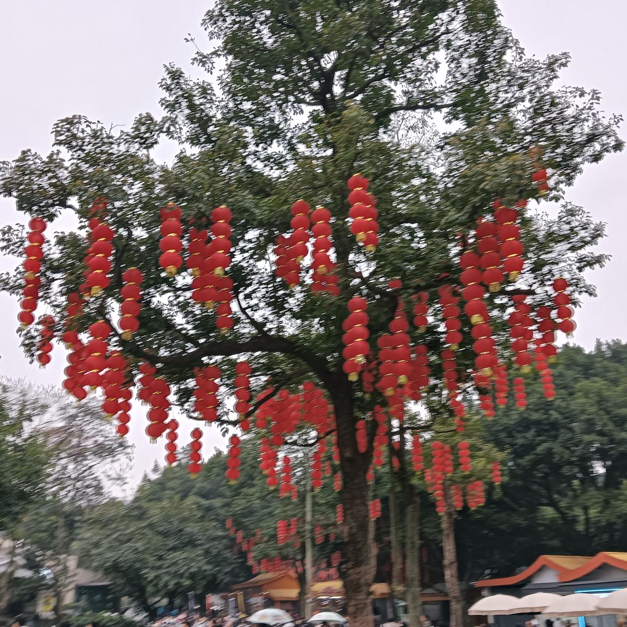 省考考完的你，是不是天天抱着手机刷官网、等成绩？我去年一个粉丝，笔试考了岗位第