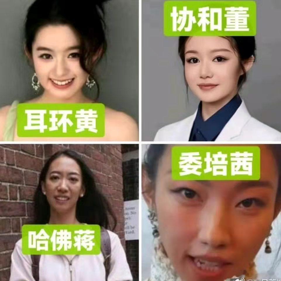 25年上半年四大“顶流”美女！​​​​