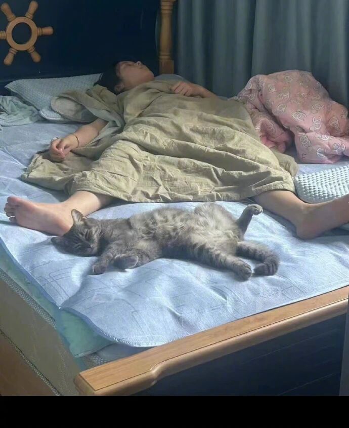果然一个被窝里睡不出两种人