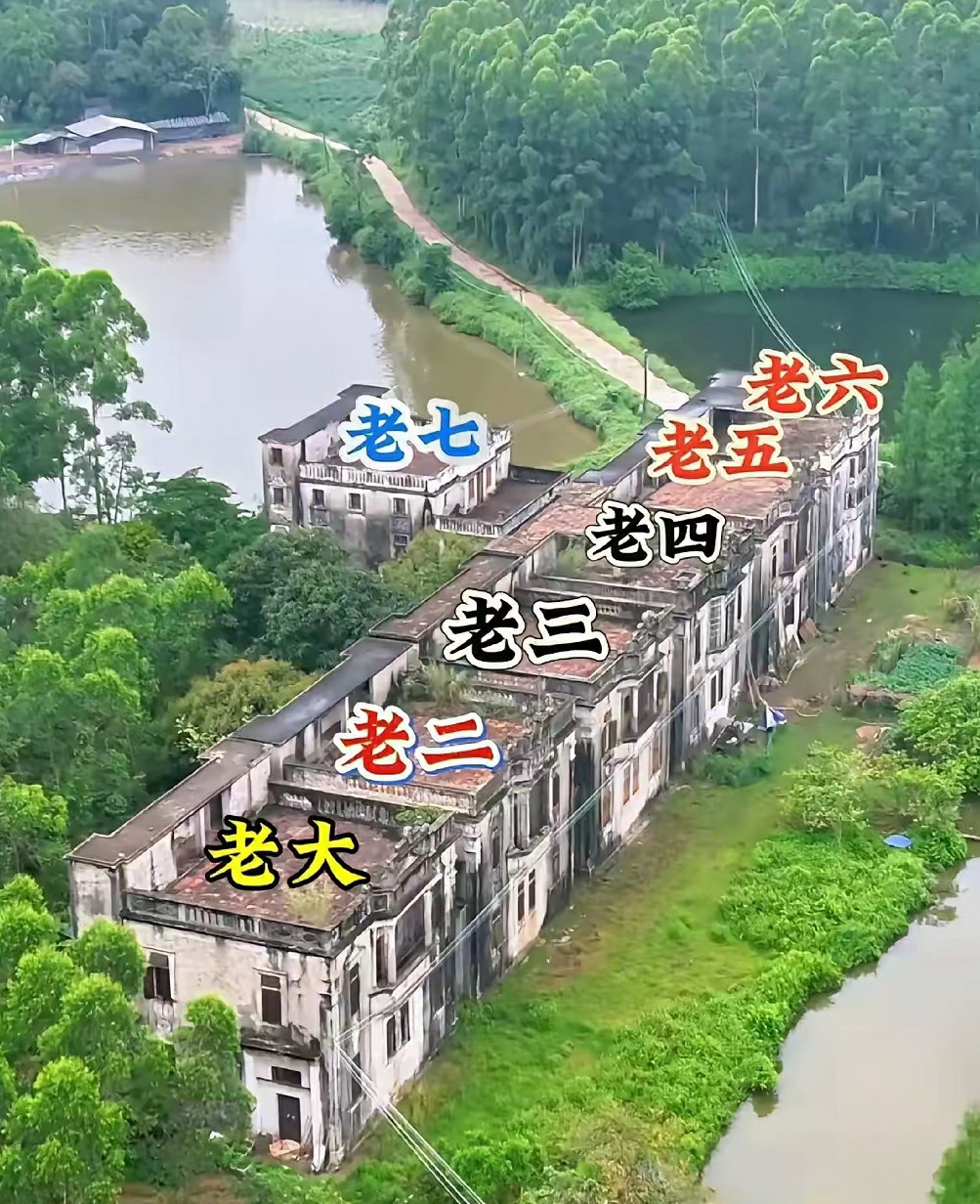 7兄弟在一起，属实不错。