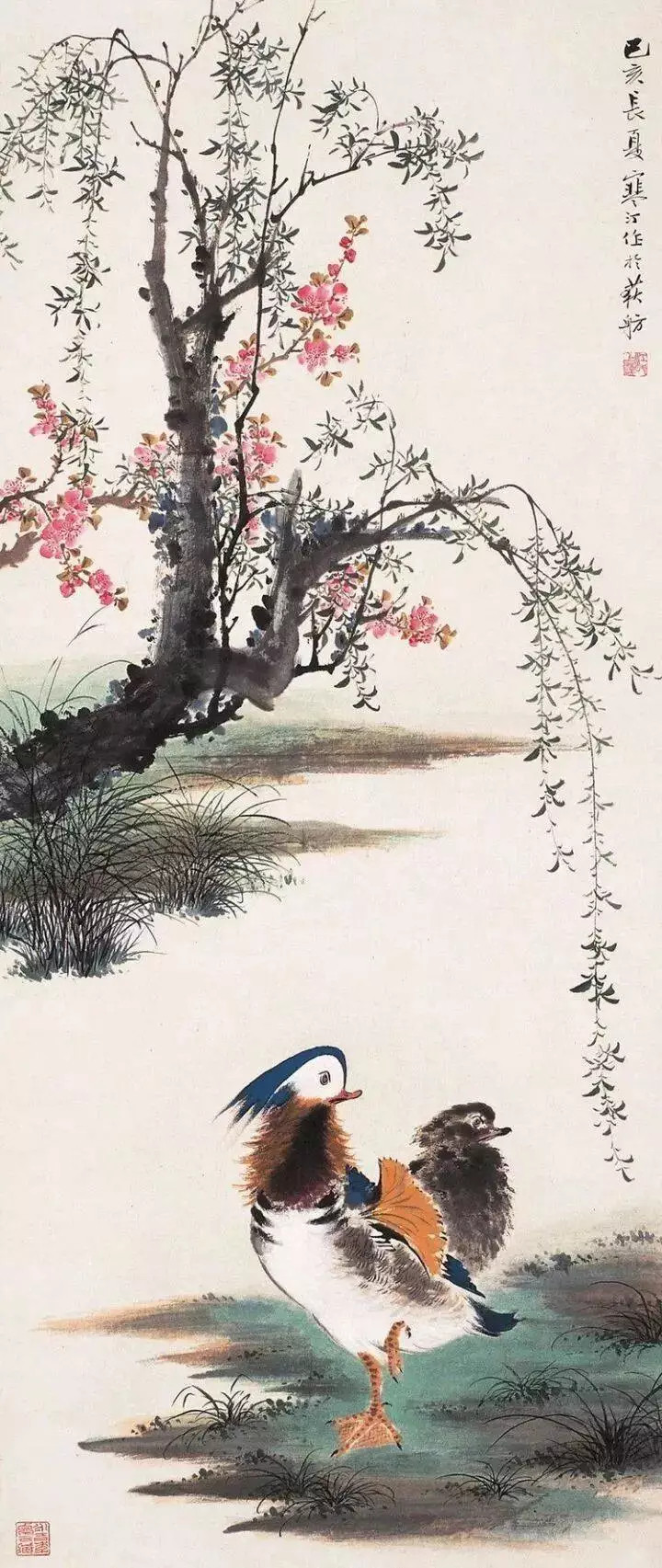 江寒汀是当代海派花鸟画第一人，为近现代海派小写意花鸟最重要代表画家，花鸟画清丽温