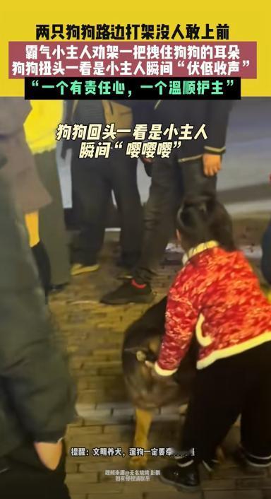“笑不活了！”湖南，两只狗狗在路上突然打起来，围观的大人都不敢上前，没想到人群中