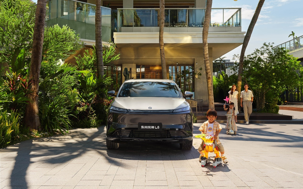 东风风神，有点闷声发财的感觉，以L8为核心，配合多款差异化车型，东风风神全年累计