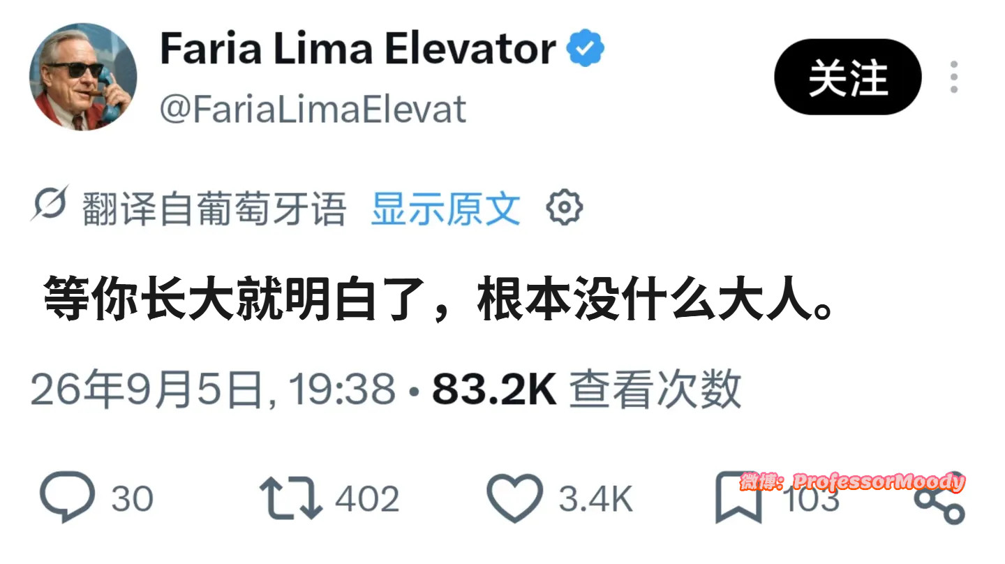 大家都不过是有个工作的小孩罢了meme​​​