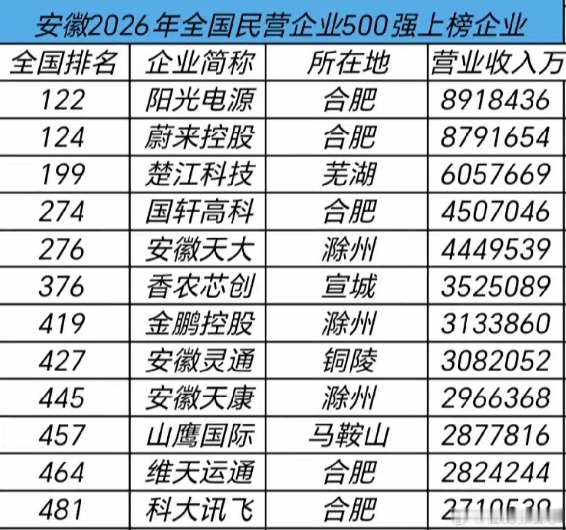 【安徽的民营企业500强排名】​