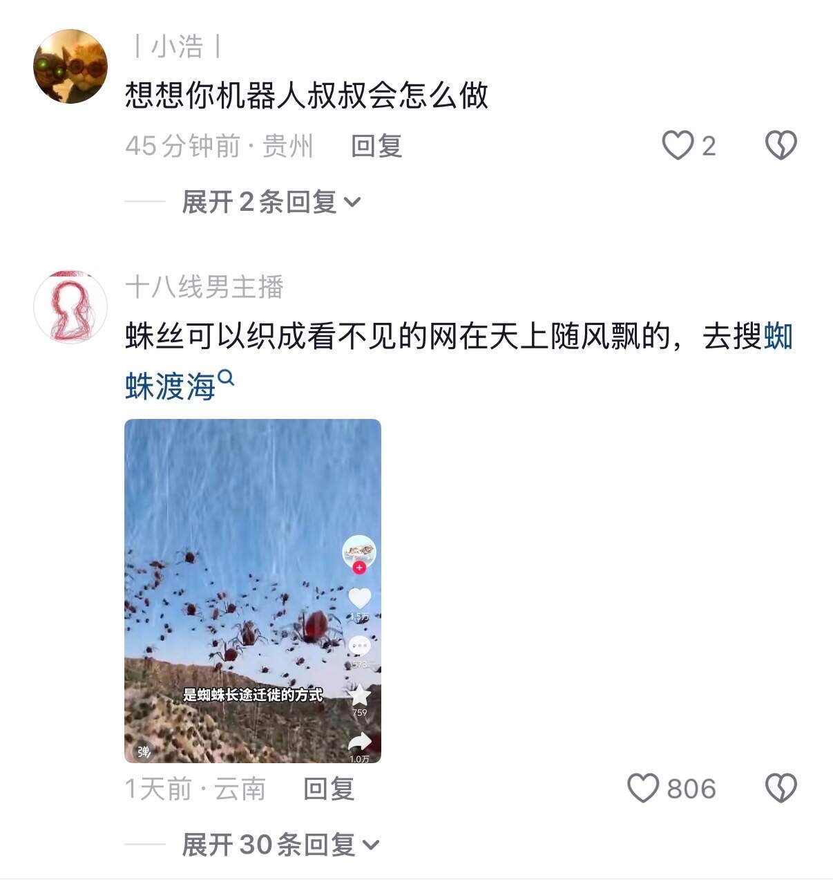 原来如此，蜘蛛侠不喜欢平原的原因找到了🤣👌