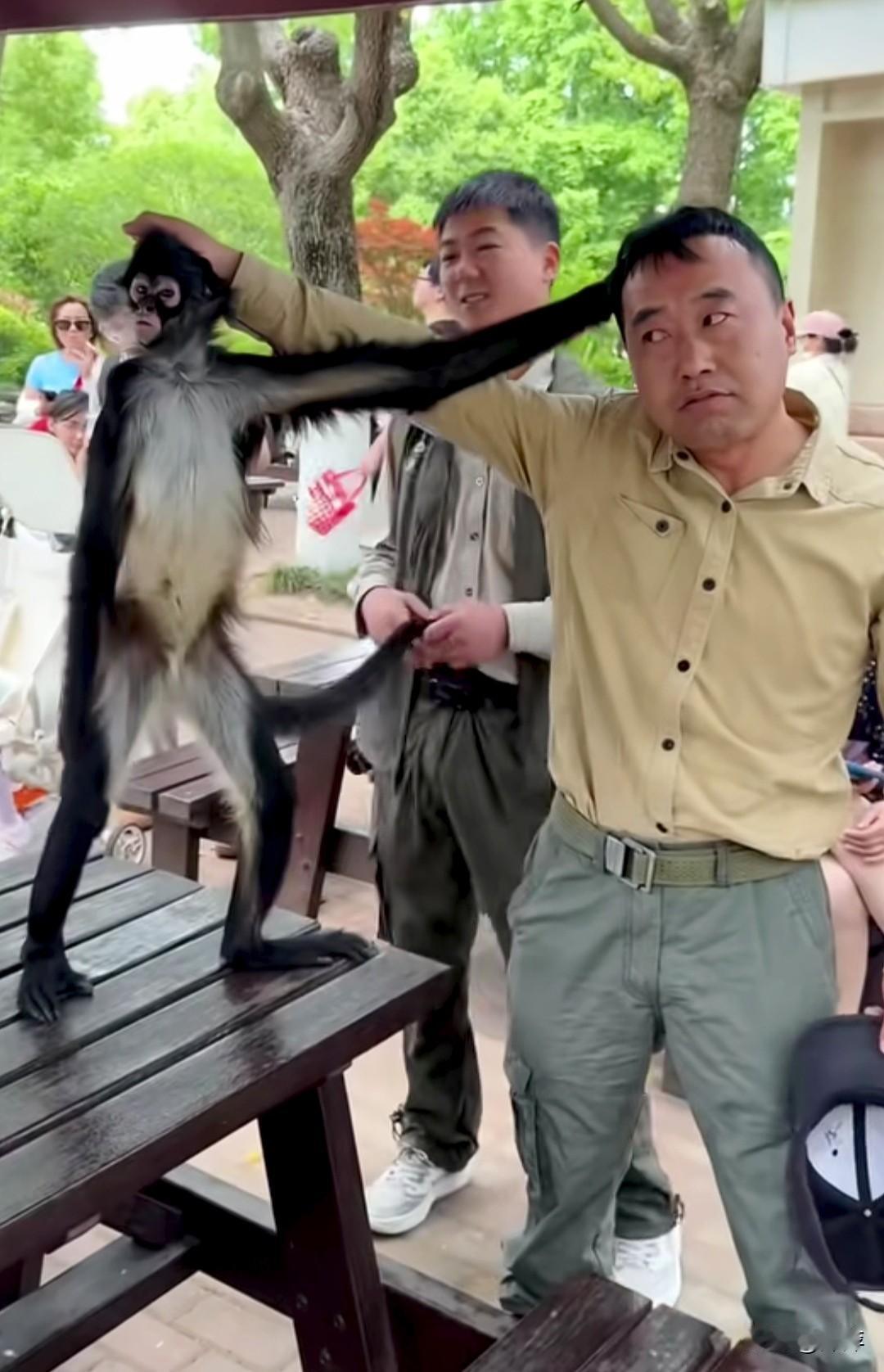 大哥和一只猴子的搞怪时刻，看这样子是谁也不服谁啊。