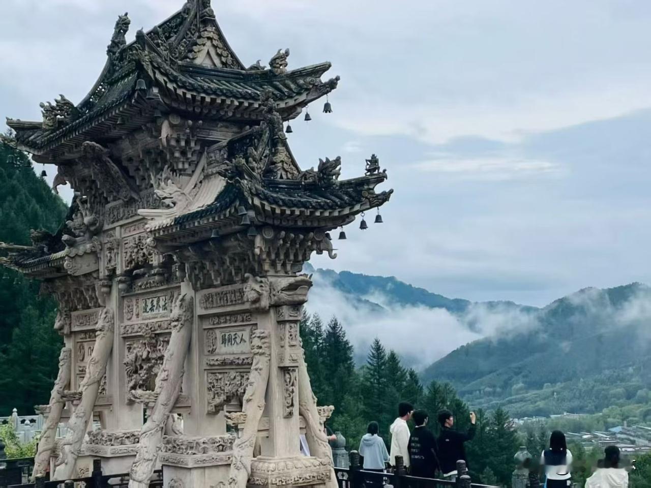 婆婆病了你会去照顾吗？多说姐妹说不会去别介咱得去伺候婆婆病了就是到了我们