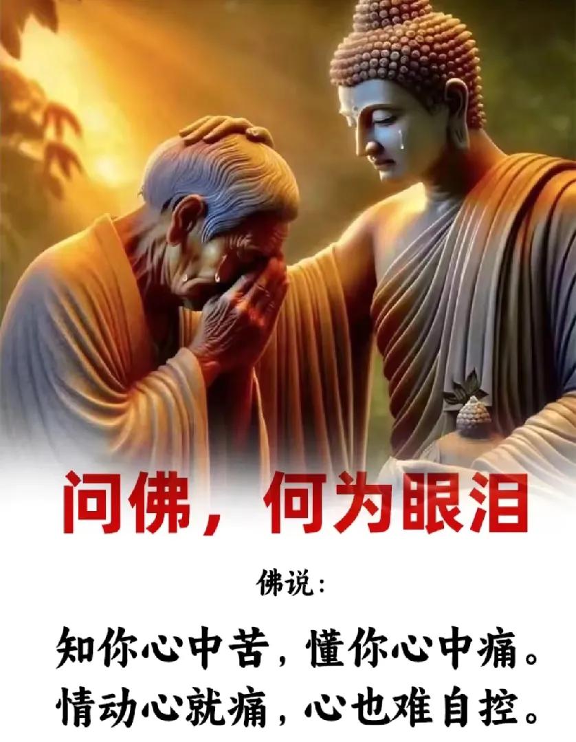 佛说：知你心中苦，懂你心中痛。我问佛：