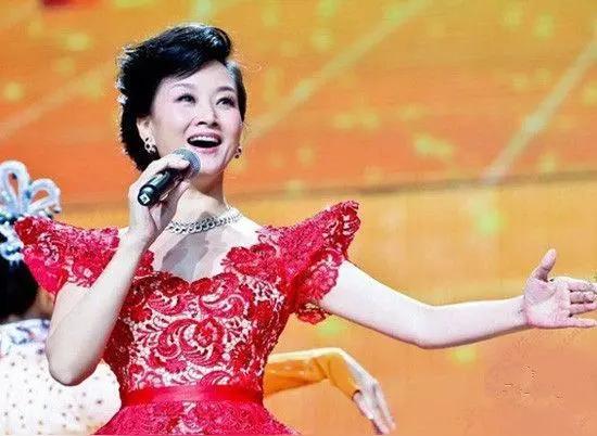 宋祖英年轻时太美了，我被她的美貌惊艳到了。她虽然不是倾城倾国的浓颜美人，不是一